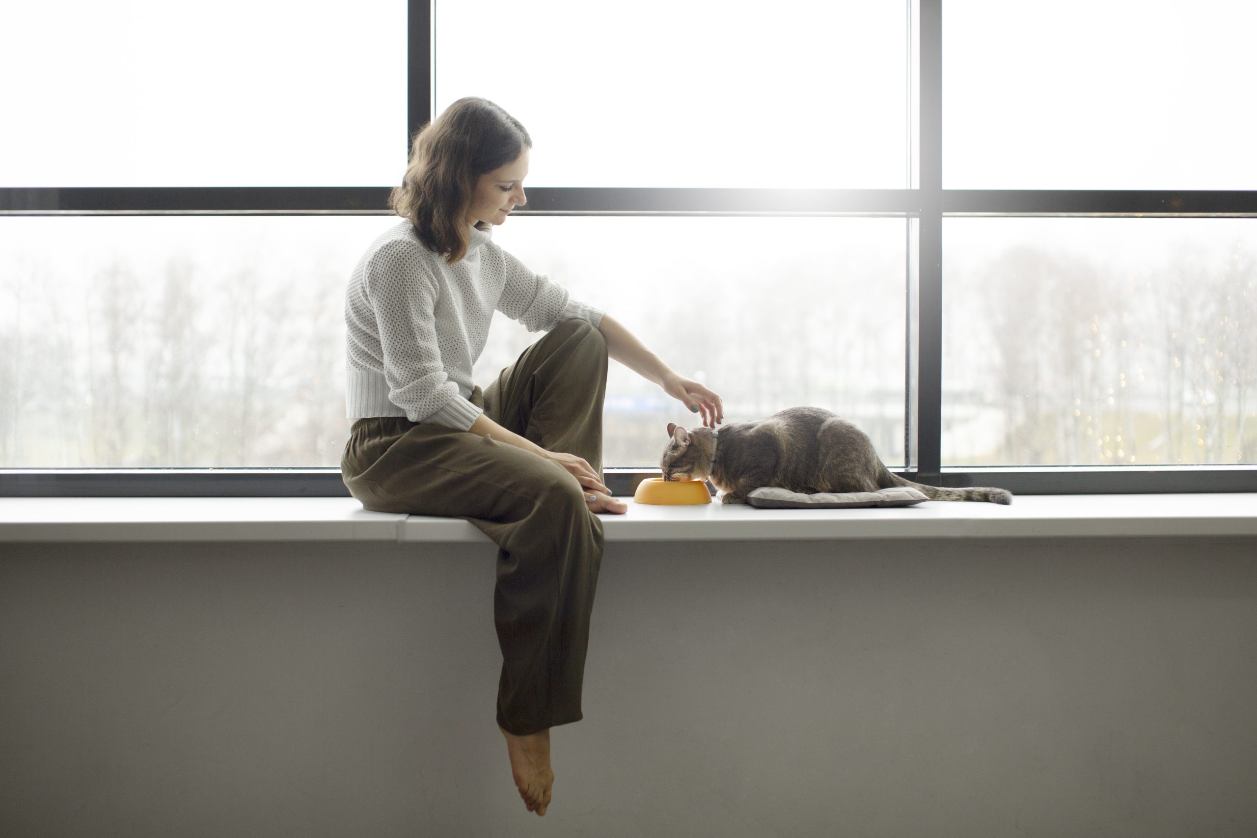 ALU stolarija - prozori