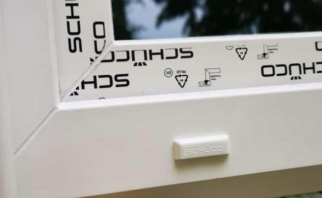 IMG_20190603_135925-scaled